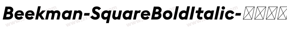 Beekman-SquareBoldItalic字体转换