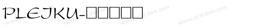 PLEIKU字体转换