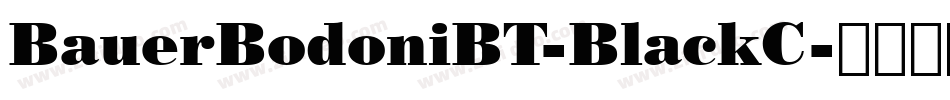 BauerBodoniBT-BlackC字体转换