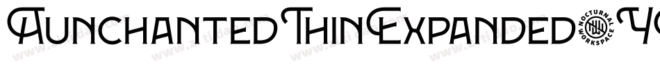 AunchantedThinExpanded-YEEO字体转换