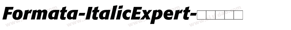 Formata-ItalicExpert字体转换