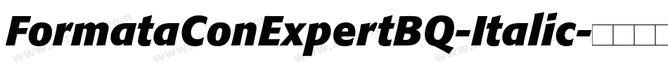 FormataConExpertBQ-Italic字体转换