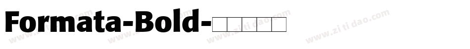 Formata-Bold字体转换