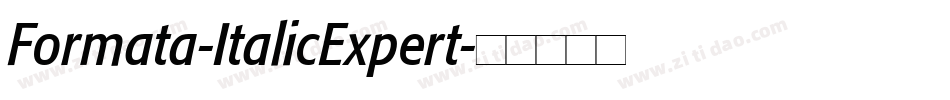 Formata-ItalicExpert字体转换