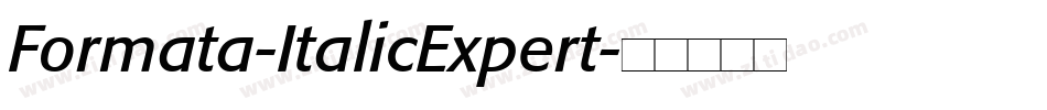 Formata-ItalicExpert字体转换