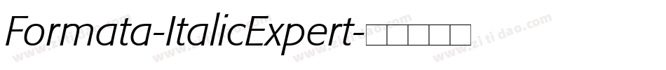 Formata-ItalicExpert字体转换