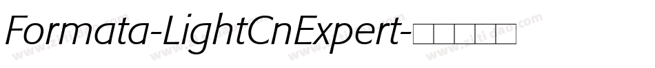 Formata-LightCnExpert字体转换