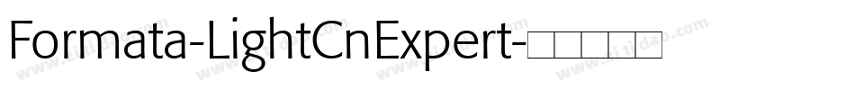Formata-LightCnExpert字体转换