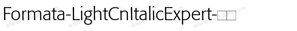 Formata-LightCnItalicExpert字体转换