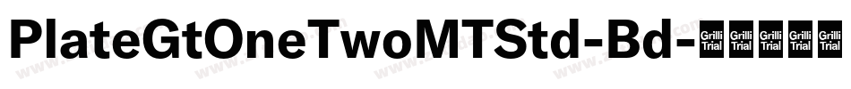 PlateGtOneTwoMTStd-Bd字体转换