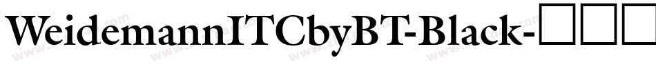 WeidemannITCbyBT-Black字体转换