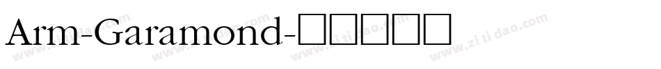 Arm-Garamond字体转换