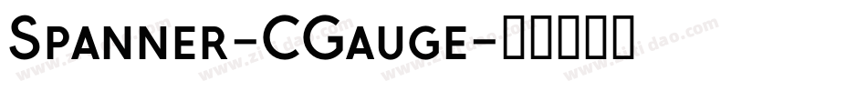 Spanner-CGauge字体转换