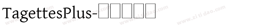 TagettesPlus字体转换