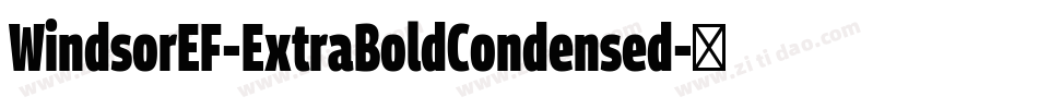 WindsorEF-ExtraBoldCondensed字体转换