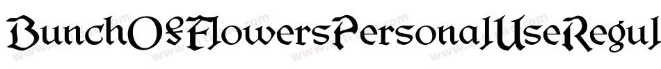 BunchOfFlowersPersonalUseRegular-nOvM字体转换
