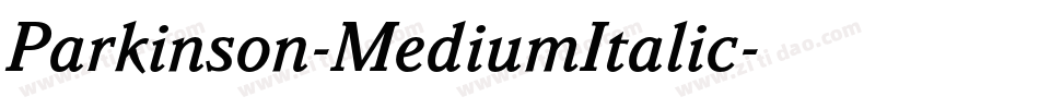 Parkinson-MediumItalic字体转换