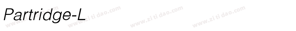 Partridge-Light-Light-Italic字体转换