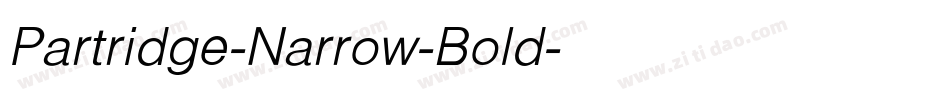 Partridge-Narrow-Bold字体转换