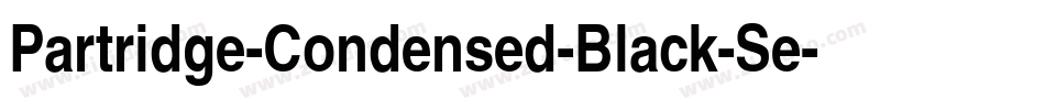 Partridge-Condensed-Black-Se字体转换