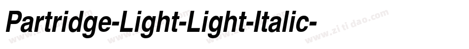 Partridge-Light-Light-Italic字体转换