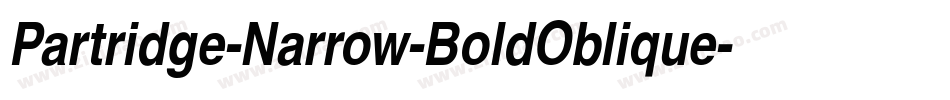 Partridge-Narrow-BoldOblique字体转换