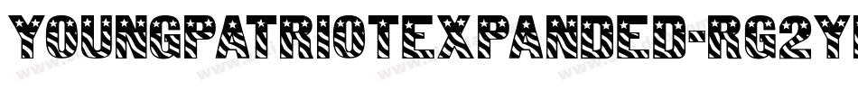 YoungPatriotExpanded-rg2yL字体转换