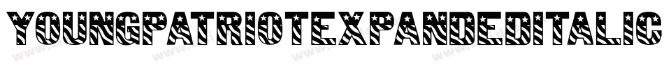 YoungPatriotExpandedItalic-MVY2n字体转换