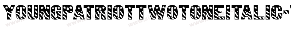 YoungPatriotTwoToneItalic-vm3yD字体转换
