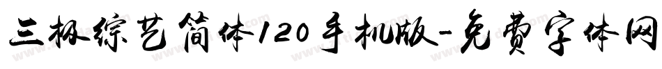 三极综艺简体120手机版字体转换