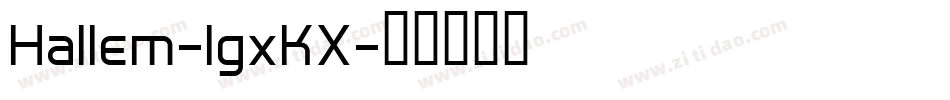 Hallem-lgxKX字体转换
