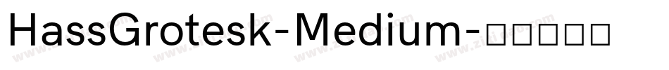 HassGrotesk-Medium字体转换