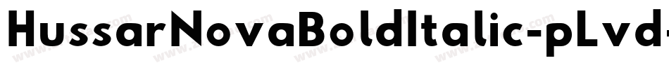 HussarNovaBoldItalic-pLvd字体转换