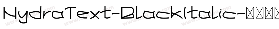 HydraText-BlackItalic字体转换