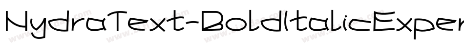 HydraText-BoldItalicExpert字体转换