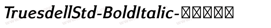 TruesdellStd-BoldItalic字体转换