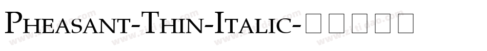 Pheasant-Thin-Italic字体转换
