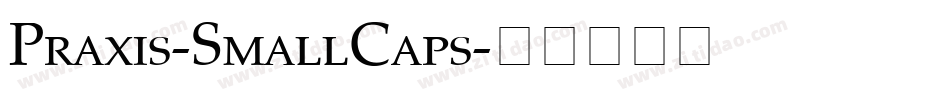 Praxis-SmallCaps字体转换