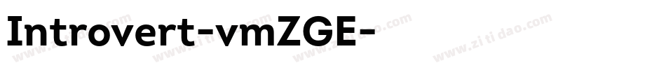 Introvert-vmZGE字体转换