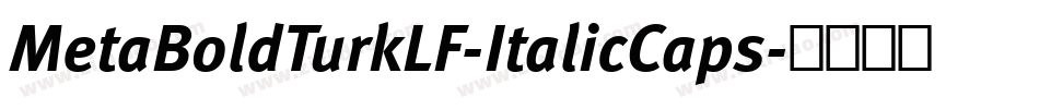 MetaBoldTurkLF-ItalicCaps字体转换