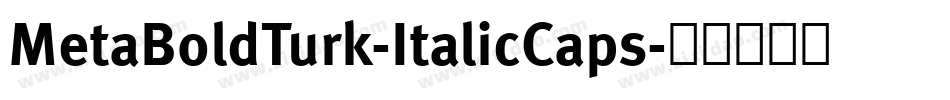 MetaBoldTurk-ItalicCaps字体转换