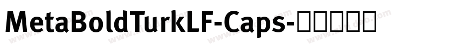 MetaBoldTurkLF-Caps字体转换