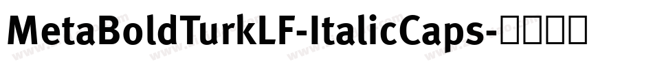 MetaBoldTurkLF-ItalicCaps字体转换