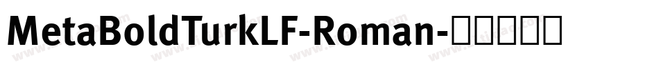 MetaBoldTurkLF-Roman字体转换