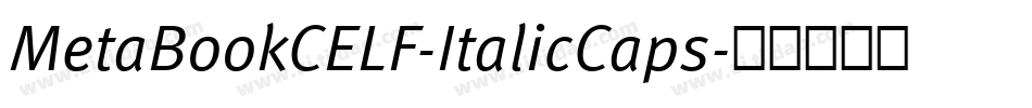 MetaBookCELF-ItalicCaps字体转换