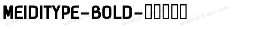 MEIDITYPE-BOLD字体转换
