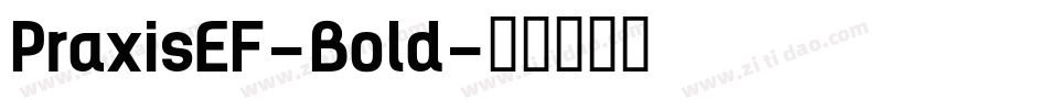 PraxisEF-Bold字体转换