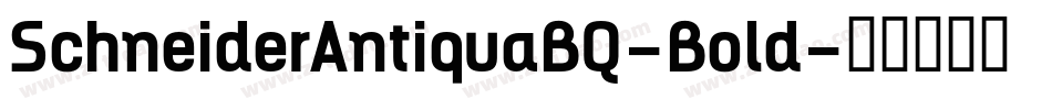 SchneiderAntiquaBQ-Bold字体转换