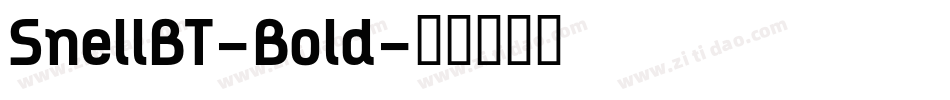 SnellBT-Bold字体转换
