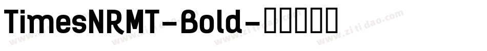 TimesNRMT-Bold字体转换